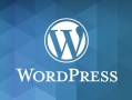 如何自定义 WordPress 登录以回复链接及文字-WordPress