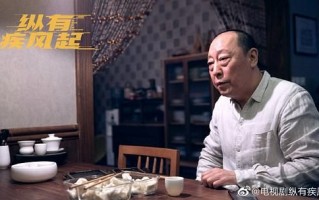 《纵有疾风起》全集电视剧百度云资源「1080p/高清」云网盘下载