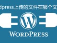 wordpress上传的文件在哪个文件夹-WordPress