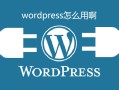wordpress怎么用啊-WordPress