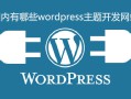 国内有哪些wordpress主题开发网站-WordPress