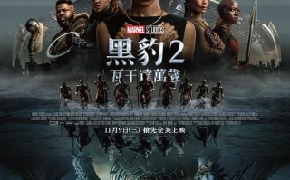 《黑豹2》电影超清完整观看版观看1080p